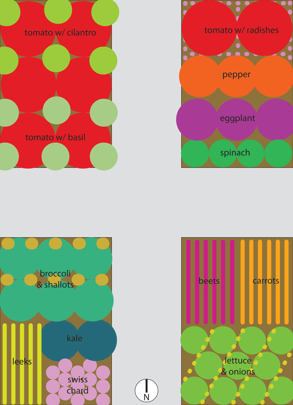 vegetable and fruit garden layout