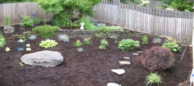 Low Maintenance Garden Design | Hip Chick Digs